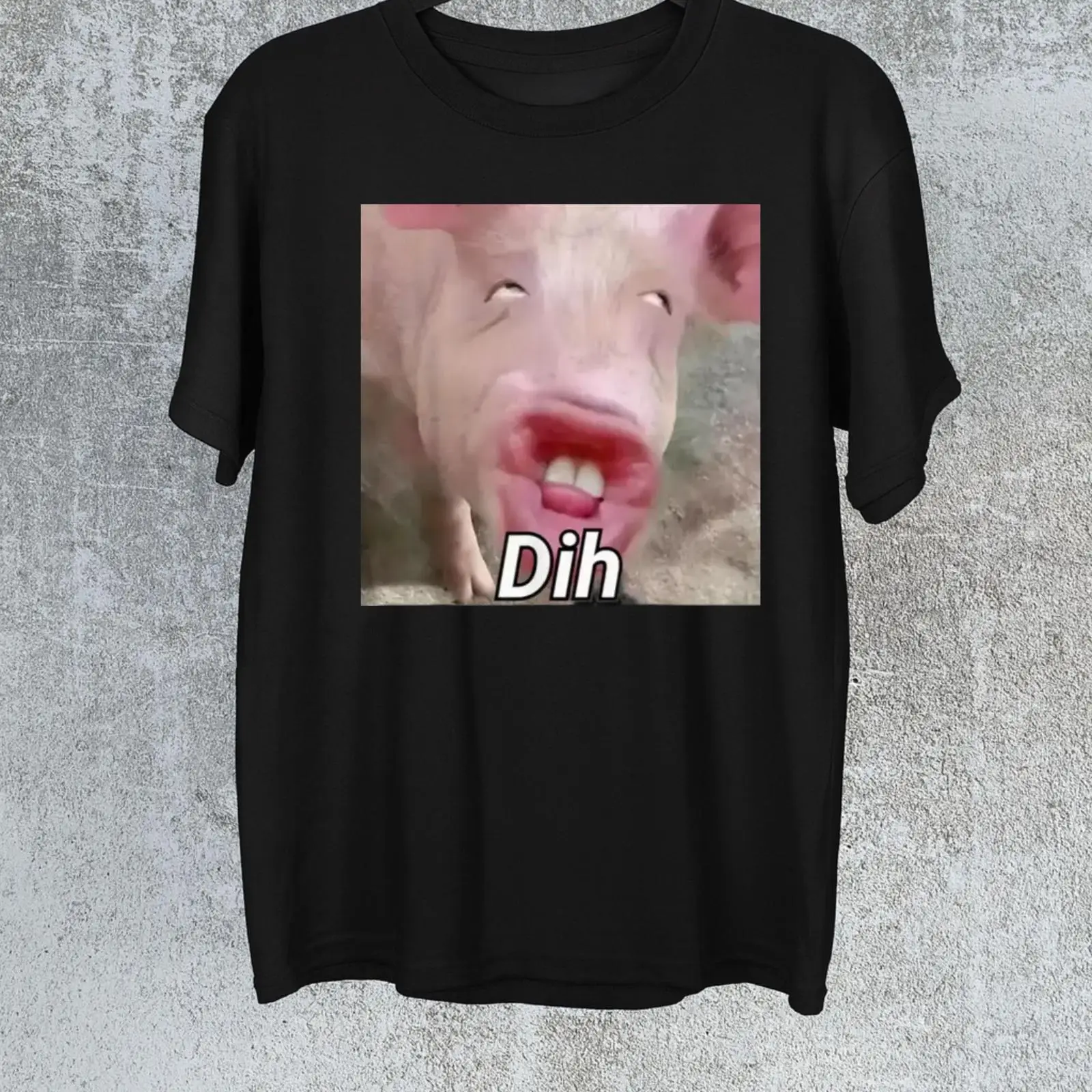 Vintage Fashion Gen Z - Funny Dih Pork Meme T Shirt